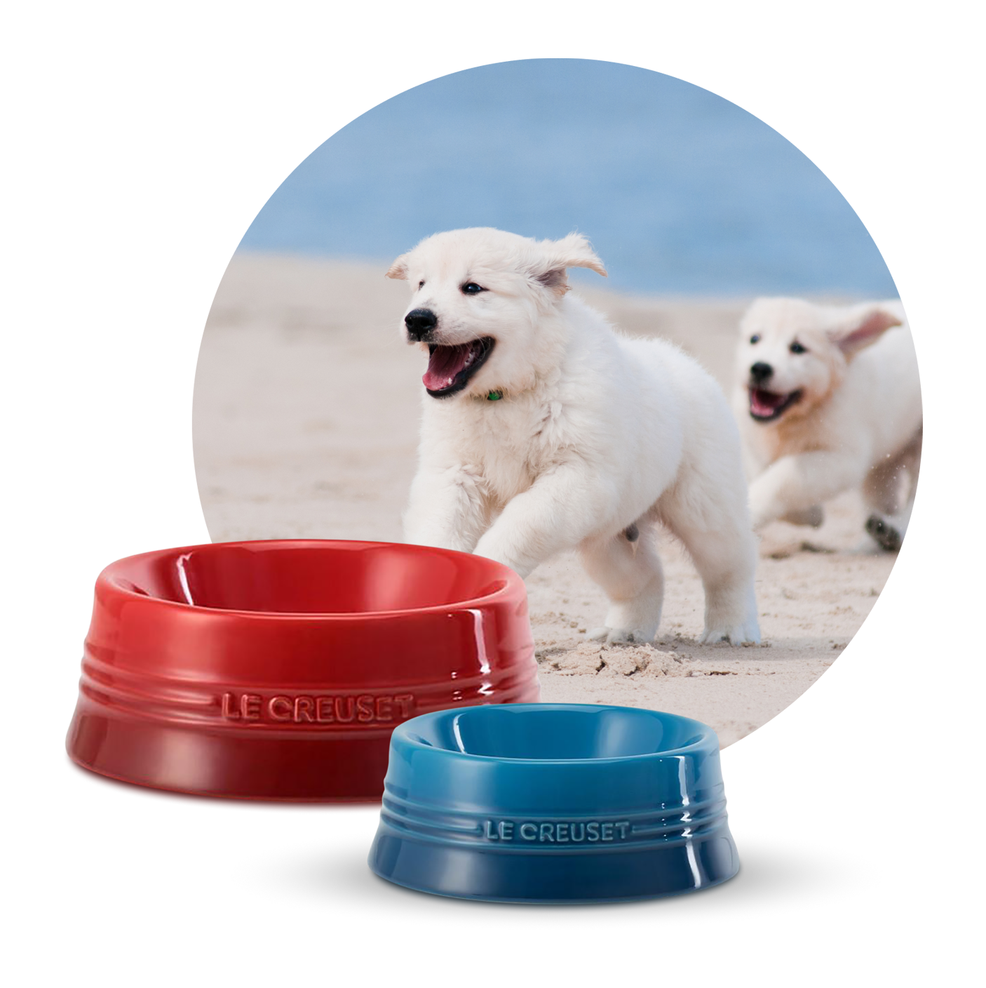 Le creuset online pet bowl