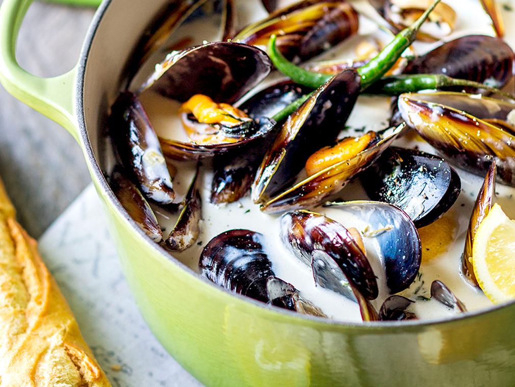 Mussels in a creamy sauce